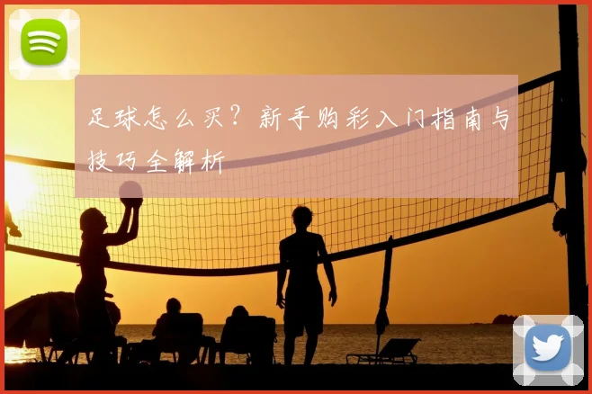 足球怎么买？新手购彩入门指南与技巧全解析