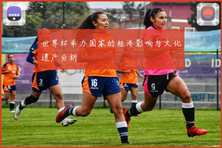 世界杯举办国家的经济影响与文化遗产分析